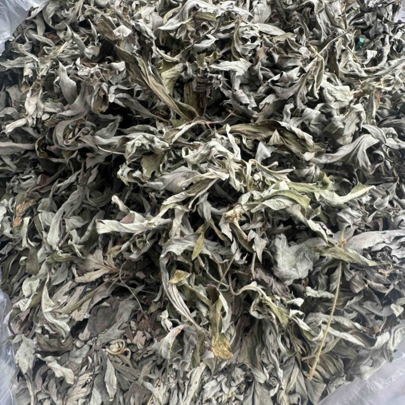 艾草野生正宗艾叶干货产地直供量大从优