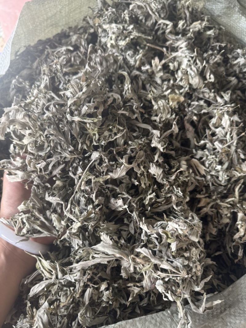 艾草野生正宗艾叶干货产地直供量大从优