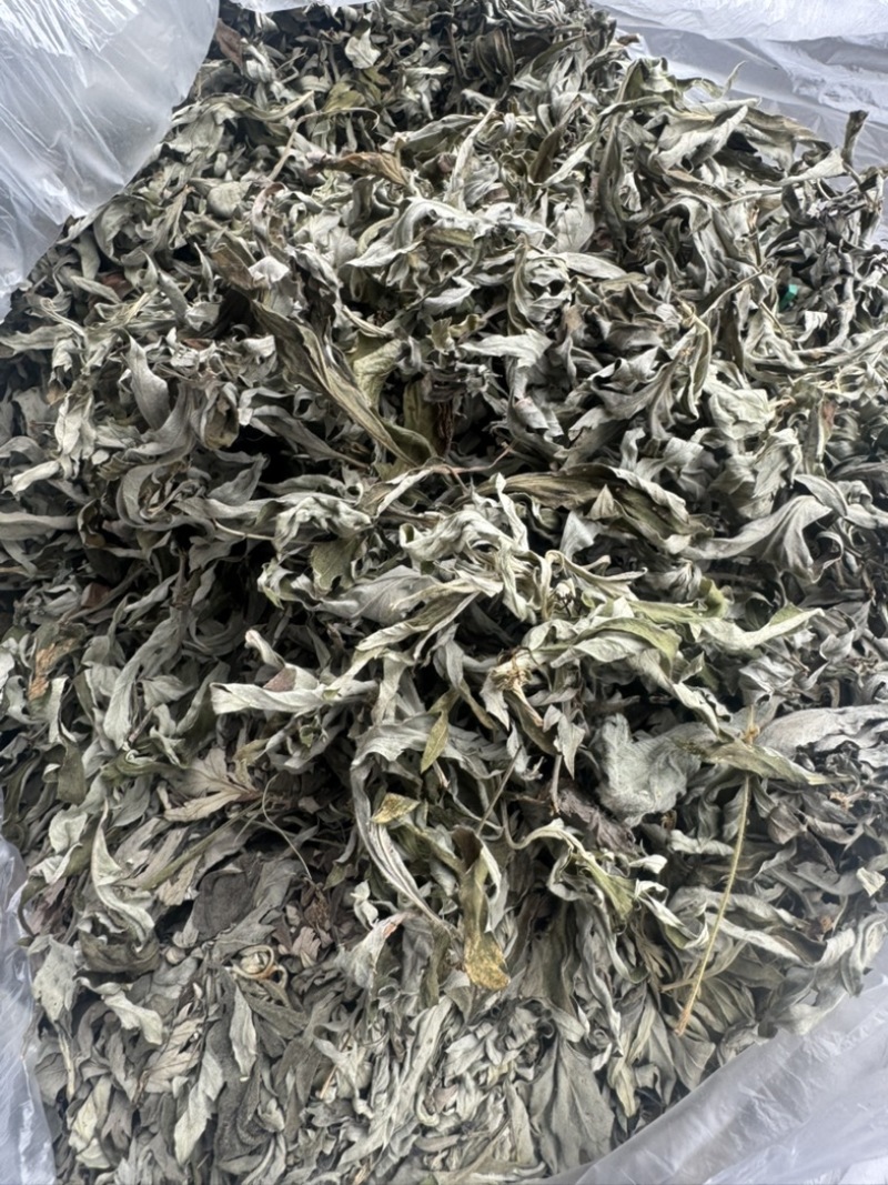艾草野生正宗艾叶干货产地直供量大从优