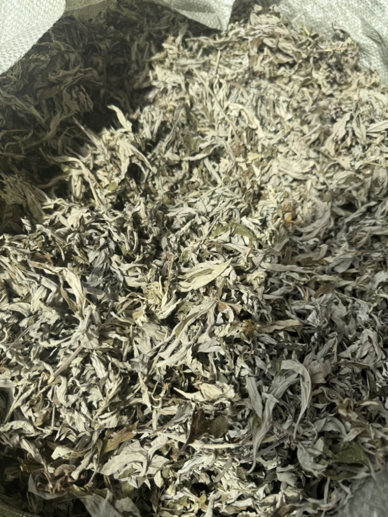 艾草野生正宗艾叶干货产地直供量大从优