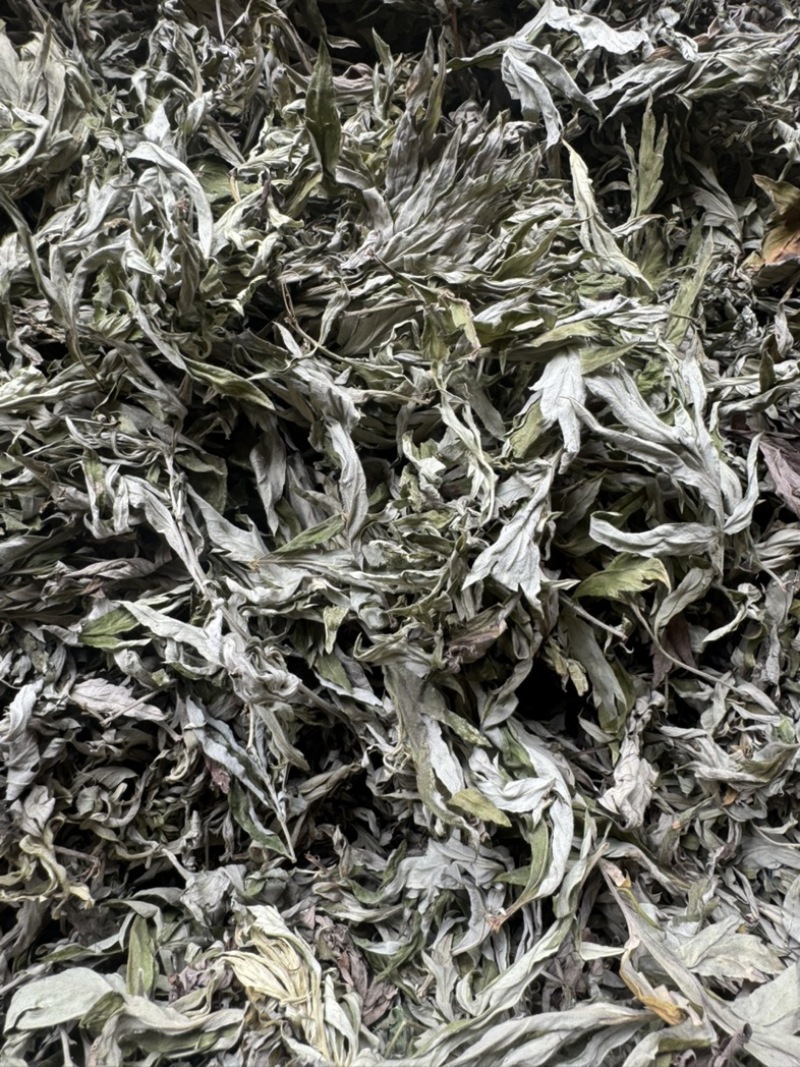 艾草野生正宗艾叶干货产地直供量大从优