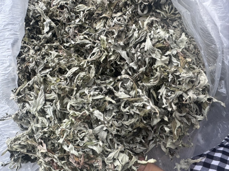 艾草野生正宗艾叶干货产地直供量大从优