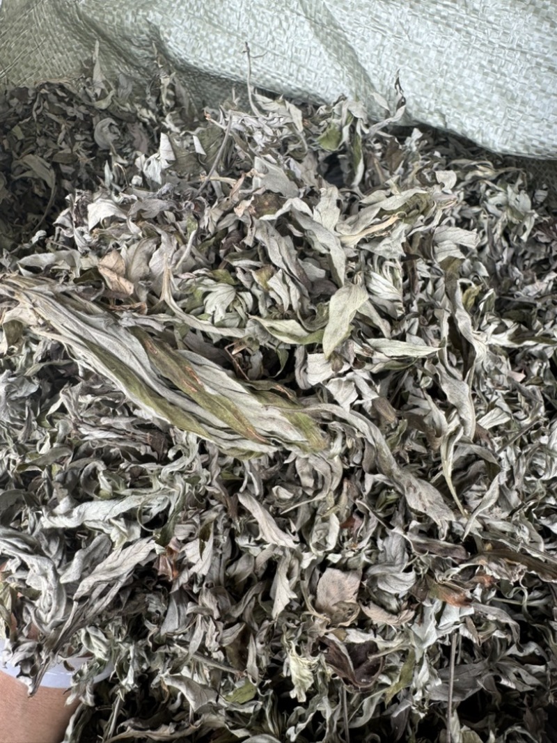 艾草野生正宗艾叶干货产地直供量大从优