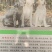 拉布拉多犬平台推荐合作养殖加盟回收平台备案多种品种