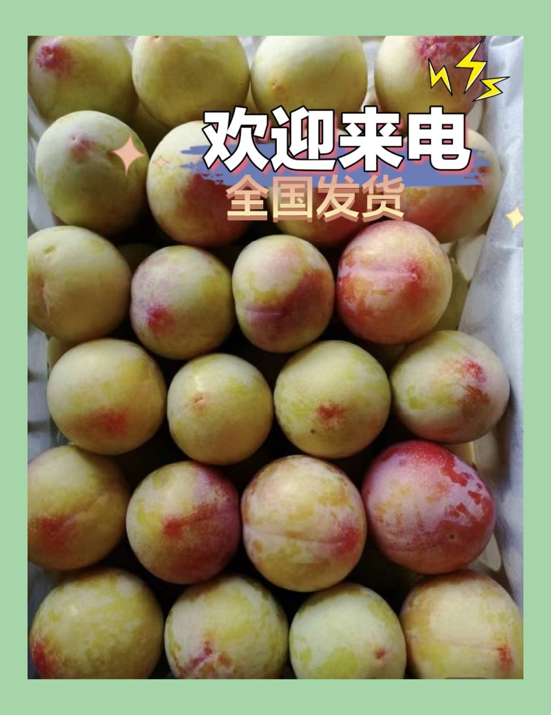 前卫红李千味红李色泽红润，口感好产地直销一条龙服务
