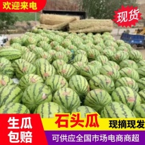 甘肃石头瓜金城5号西瓜对接电商市场商超