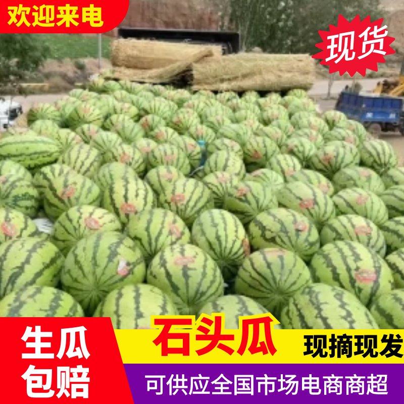 [金城5号西瓜批发]甘肃白银靖远县西瓜 0.20元/斤甘肃石头瓜 _ 一亩田