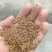膨化喷浆玉米毛糠，蛋白45个，价格美丽，降低养殖成本。