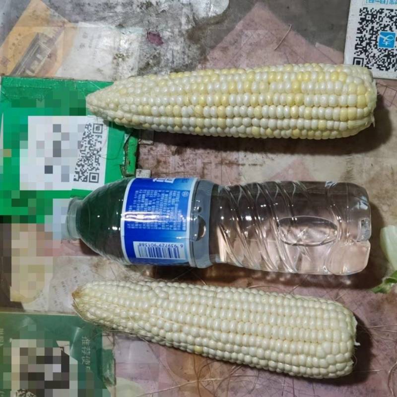 糯玉米