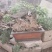 黄荆老扁桩