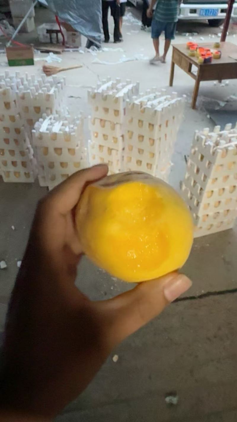 毛黄桃山东毛桃，一件代发产地现货，规格齐全品质保证