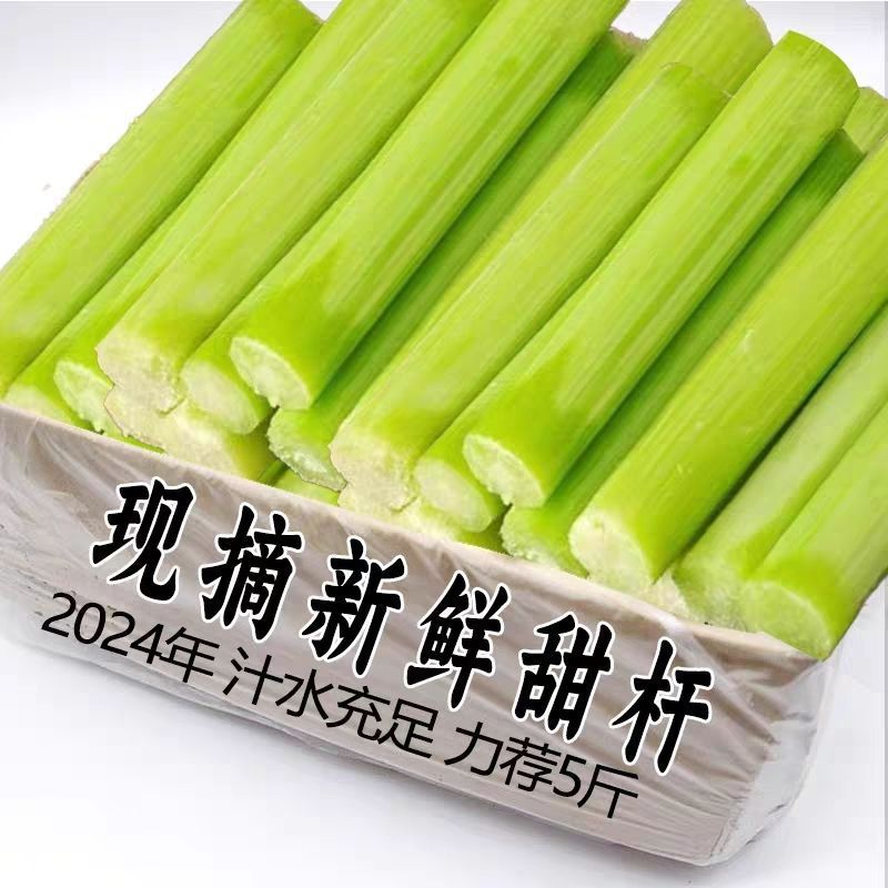 北方青皮东北甜杆正宗特产新鲜高粱芦稷水果孕妇甘蔗芦粟批发