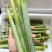 北方青皮东北甜杆正宗特产新鲜高粱芦稷水果孕妇甘蔗芦粟批发