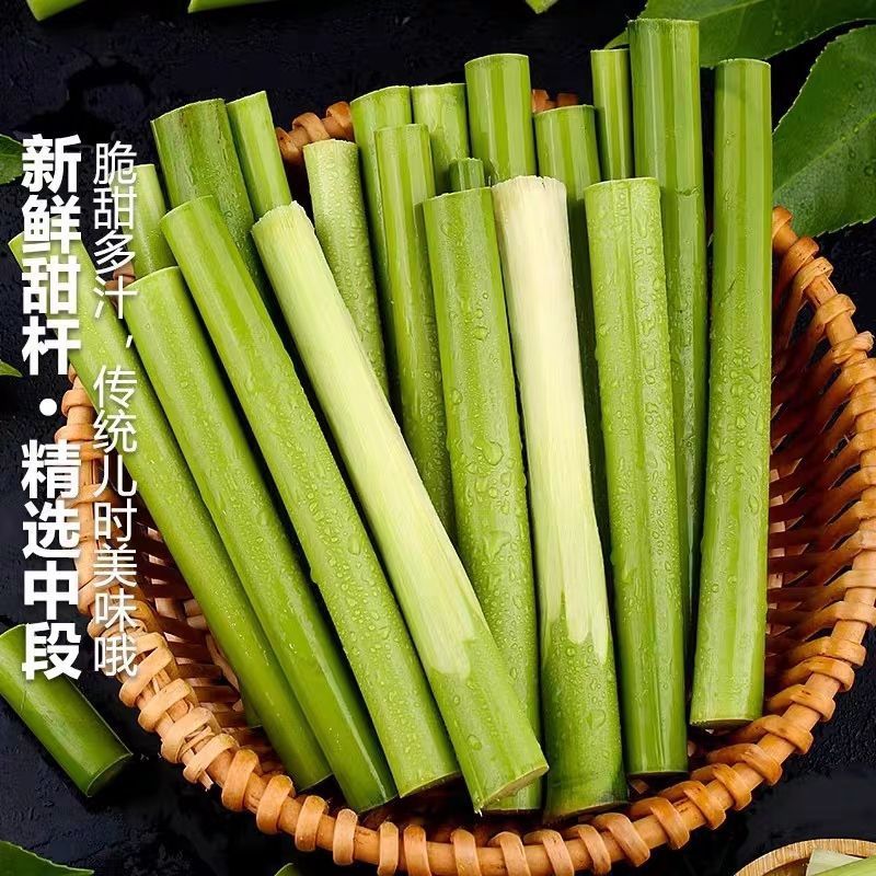 北方青皮东北甜杆正宗特产新鲜高粱芦稷水果孕妇甘蔗芦粟批发