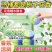栀子花留香抑菌洁厕宝除垢清香卫生间除臭马桶清洁剂蓝泡泡