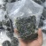 霞浦海带苗少盐精品