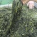 霞浦海带苗少盐精品