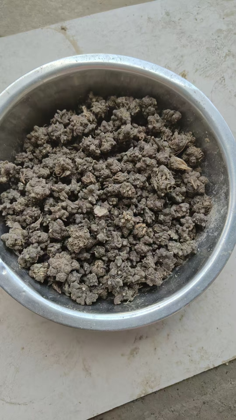 家种猫爪草水洗一遍干货三百多斤