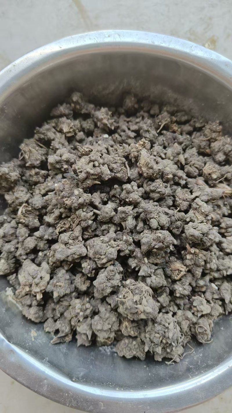 家种猫爪草水洗一遍干货三百多斤