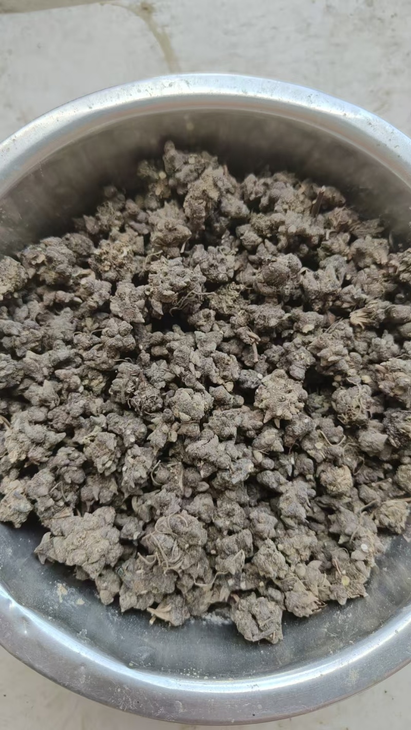 家种猫爪草水洗一遍干货三百多斤