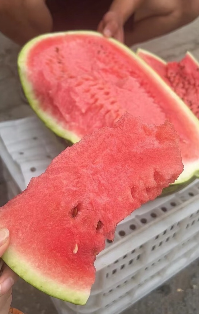中卫硒砂瓜宁夏石头瓜皮薄甜度高量大从优代发全国