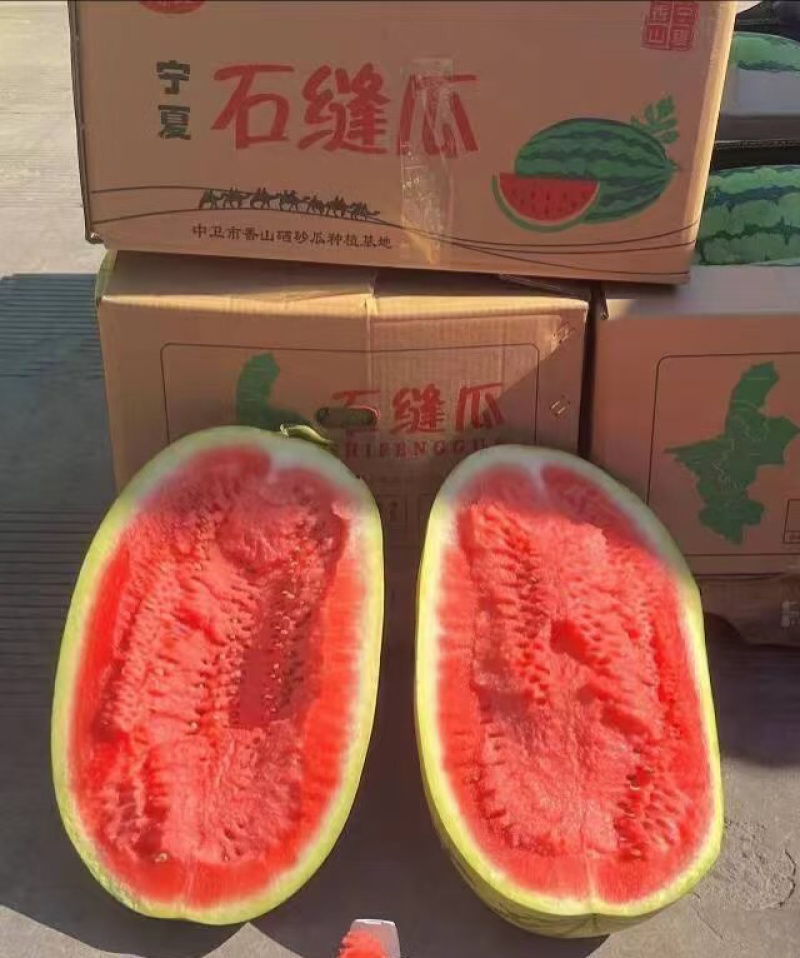 中卫硒砂瓜宁夏石头瓜皮薄甜度高量大从优代发全国