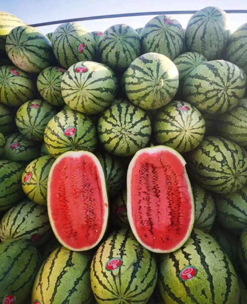 中卫硒砂瓜宁夏石头瓜皮薄甜度高量大从优代发全国