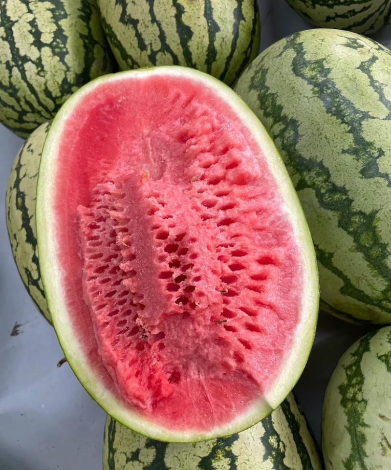 中卫硒砂瓜宁夏石头瓜皮薄甜度高量大从优代发全国