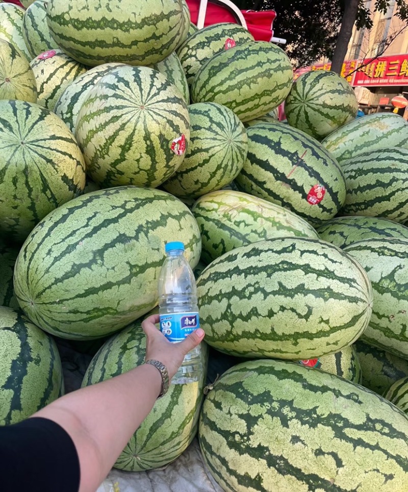中卫硒砂瓜宁夏石头瓜皮薄甜度高量大从优代发全国