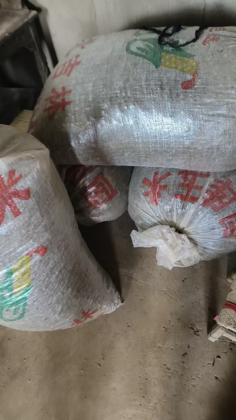 家种猫爪草水洗一遍干货三百多斤