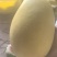 金煌芒，规格0.8-1斤