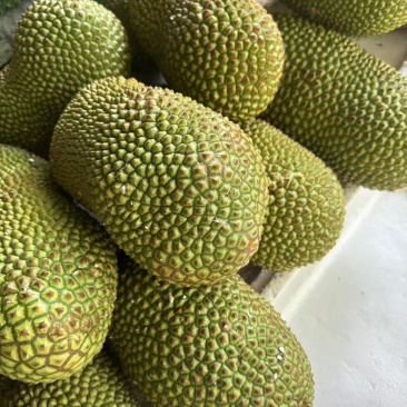 榴莲蜜一级果