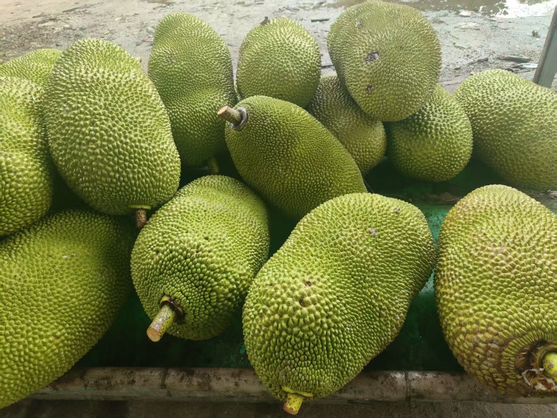 榴莲蜜一级果