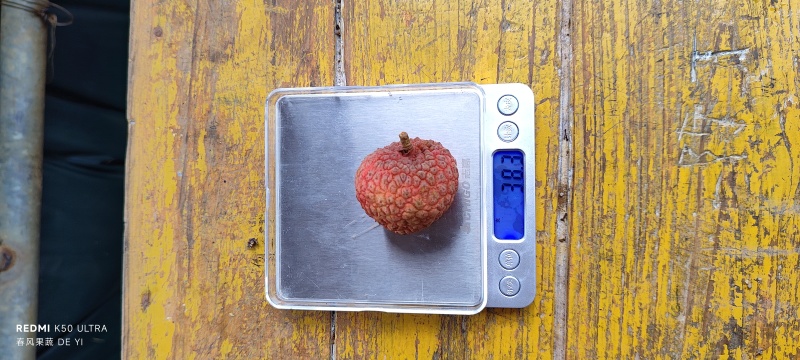 广西灵山糯米糍大量供应