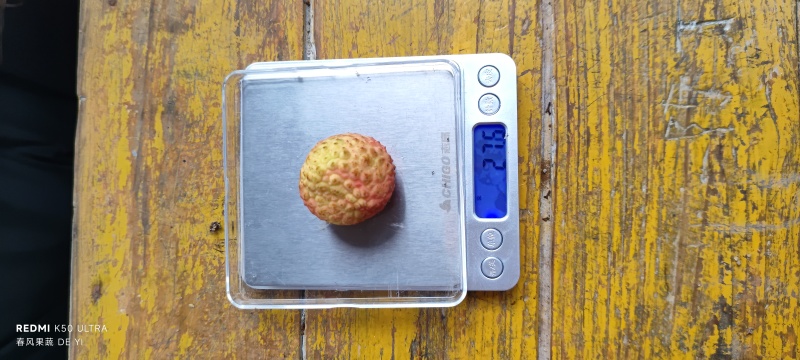 广西灵山糯米糍大量供应
