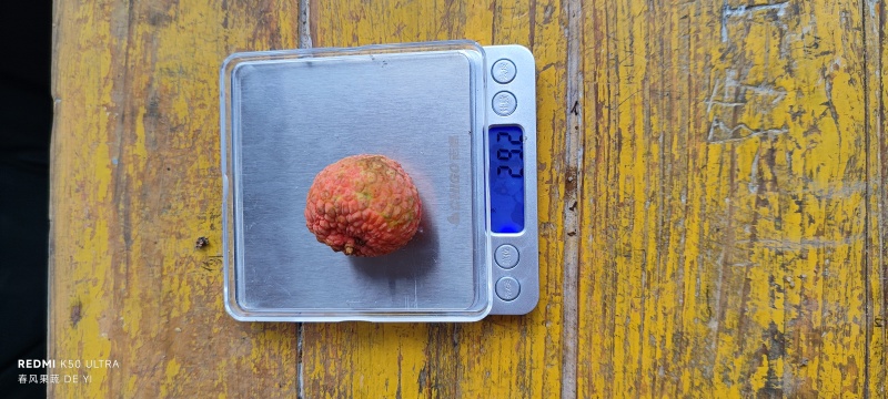 广西灵山糯米糍大量供应