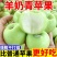 【新果】头茬青苹果新鲜现摘应季水果酸甜脆爽小青富士一整箱