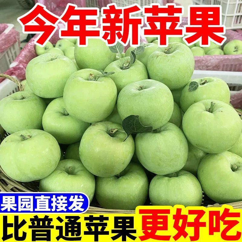 【新果】头茬青苹果新鲜现摘应季水果酸甜脆爽小青富士一整箱