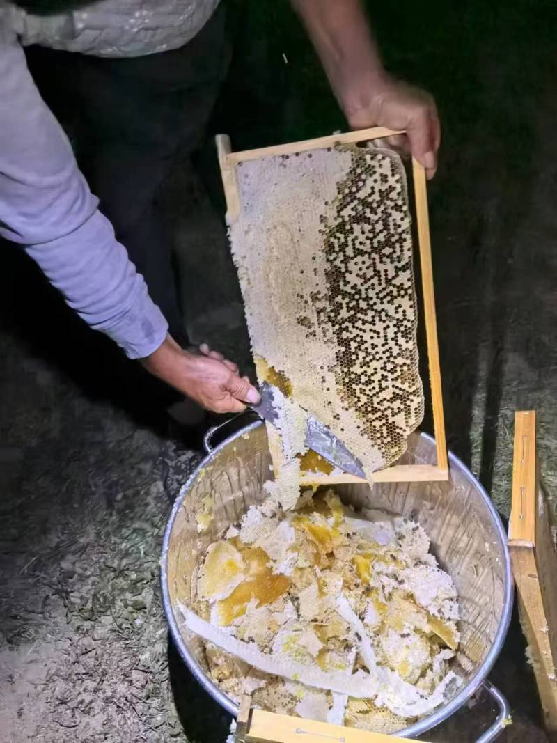 重庆湖南贵州，中蜜