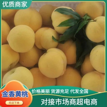 精品金香黄桃黄毛桃大量上市各种蟠桃油桃水蜜桃品种齐全