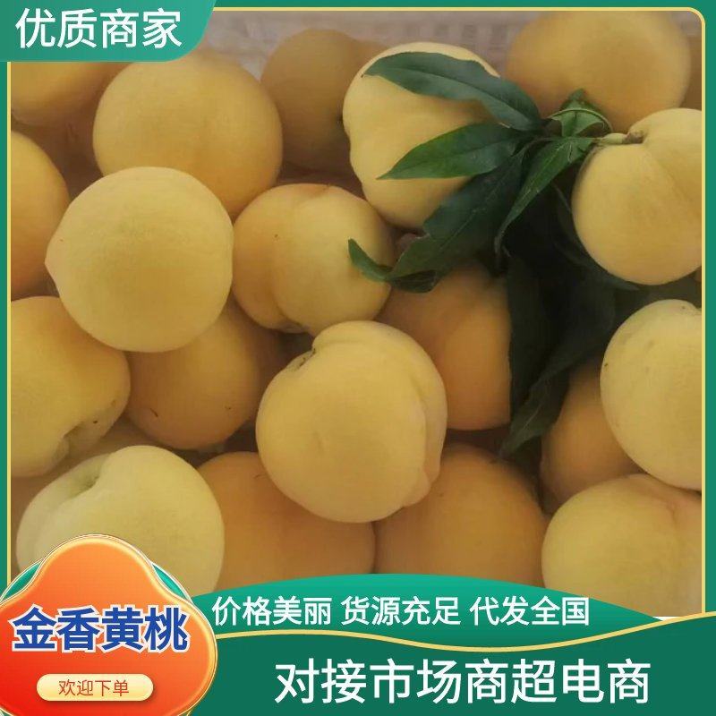 精品金香黄桃黄毛桃大量上市各种蟠桃油桃水蜜桃品种齐全