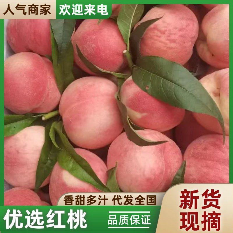 红桃水蜜桃红毛桃蒙阴万亩桃园直发优质红桃一手货源