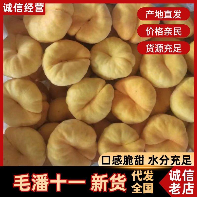毛潘11黄毛蟠桃现货产地直发可视频看货蒙阴万亩桃园