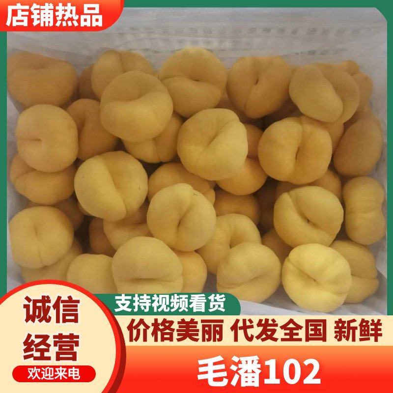 毛潘102黄毛蟠桃山东蒙阴蟠桃黄桃全国发货