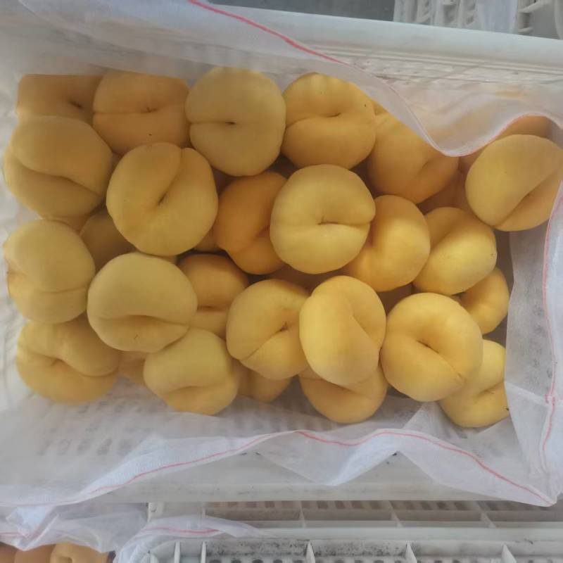 毛潘102黄毛蟠桃山东蒙阴蟠桃黄桃全国发货