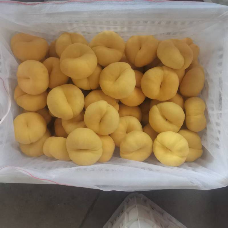 毛潘102黄毛蟠桃山东蒙阴蟠桃黄桃全国发货