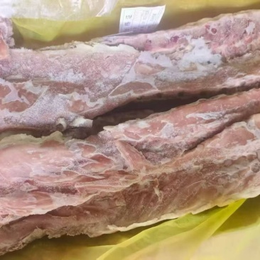 肥猪龙骨