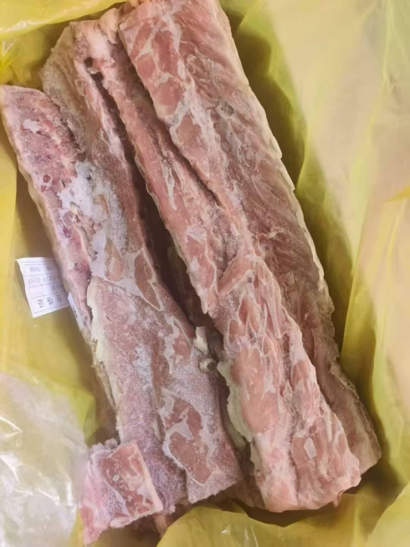 肥猪龙骨