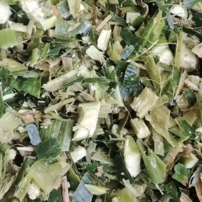 青储玉米秸秆，整颗，破碎都可以，上百亩基地，欢迎咨询联系