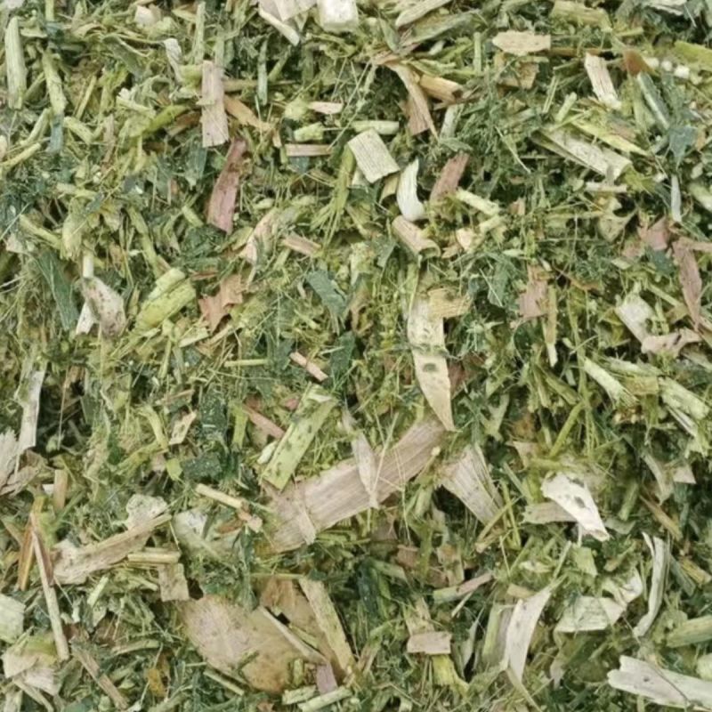 青储玉米秸秆，整颗，破碎都可以，上百亩基地，欢迎咨询联系